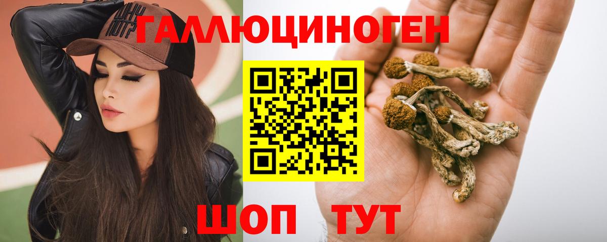 Галлюциногенные грибы MAGIC MUSHROOMS  Галлюциногенные грибы мухоморы  Губкин  Вход с VPN 